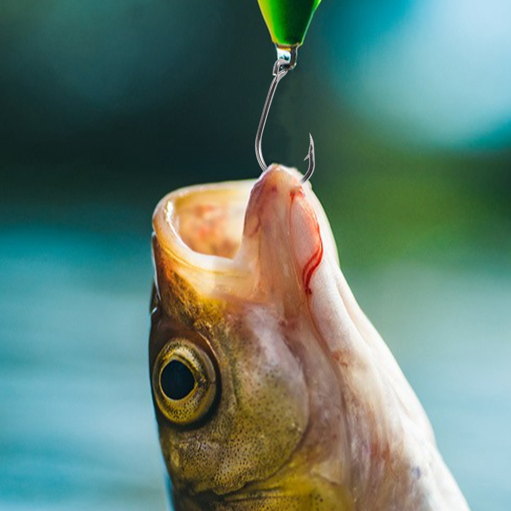Nieuwe aanwinst 500 stuks/set  - Fishing Hook Size recensie en prijs